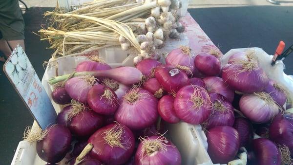 These are tge grestest red onions i had some in a greek salad imade