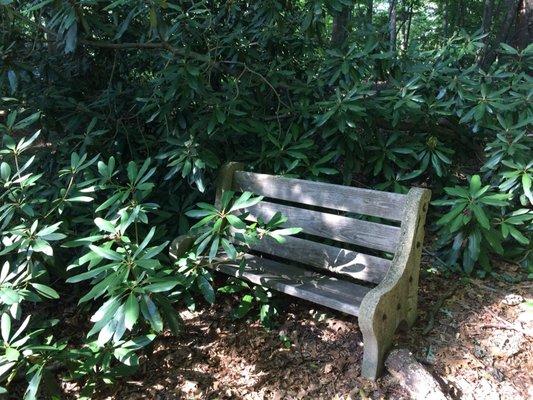 Hidden bench. Briar Bush Nature Center.