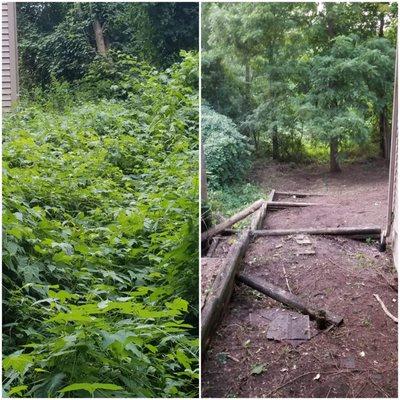 Brush Clear-out - Before & After