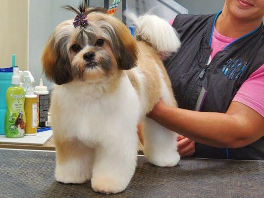 Piper's 1st groom