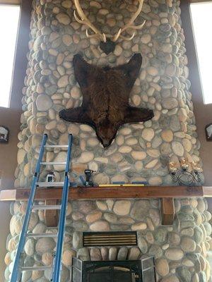 Bear pelt hung on stone wall