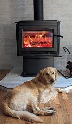 My new Napoleon wood stove and my boy Goose.