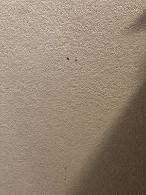 stains on walls