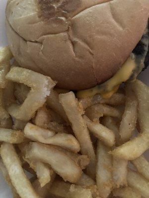 Cheese burger and fries