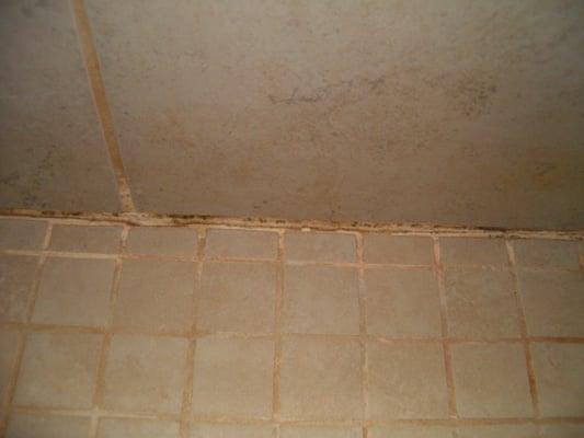 I truly am an impeccable house keeper. This is after about 3 days of not scrubbing the grout. NO sealer!