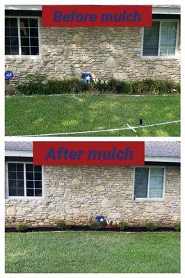 Before and after black mulch