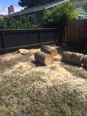 They came back and removed the stump too.