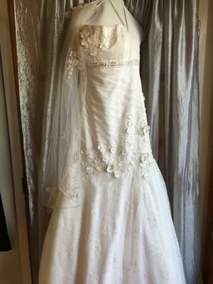 Wedding gown size & with veil!