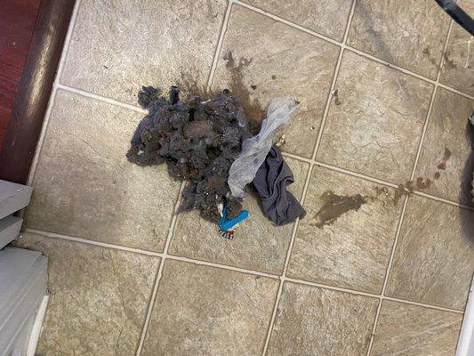 lint and trash and UNDERWEAR that was in the laundry closet of our unit