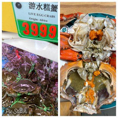 Came to SP today and noticed they have more variety of crabs! Decided to buy a little of each to try and all of them have roe in it.