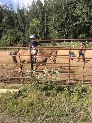 Into the Woods Equestrian Center