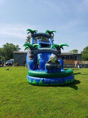 Dolphin Encounter Water Slide