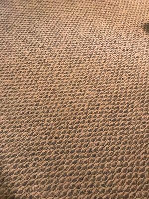 Carpet