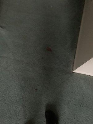 Blood on carpet