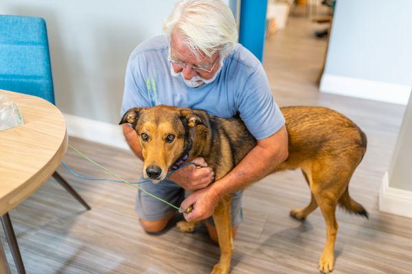 Ranger, our Pet therapy dog.