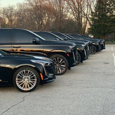 Black Clover Limo Boston