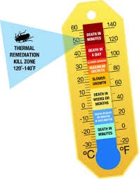 Thermal Remediation for Bed Bugs