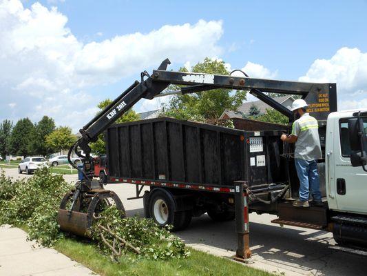 Florida Green Lawn & Tree Service