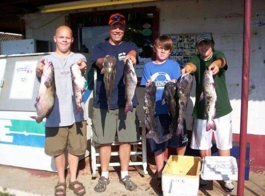 A day of fishing with fresh cut herring from Lake World