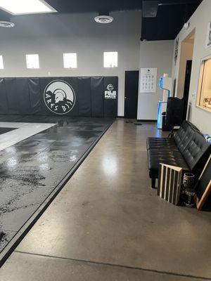 Cleaning the mats