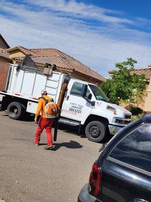 Yard Work
 Tree Services
 Arborist
 Tree Removals