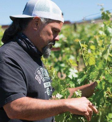 Grape Culture is a celebration of all things wine. Focused on site-driven Napa Valley Cabernet Sauvignon. Taste with us today!