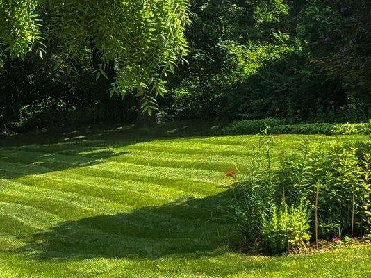 JS Landscaping caring for lawns and landscapes in and around West Hartford, CT.