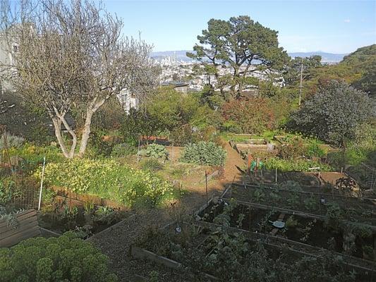 Gardens with a view