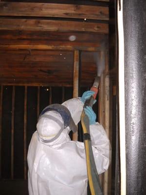 Certified Mold Professionals