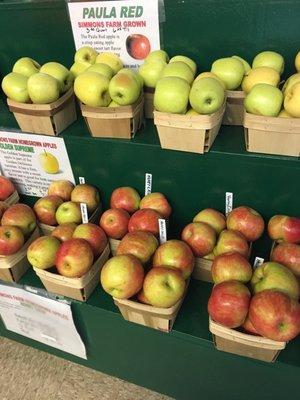 Honey crisp and golden apples