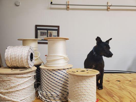 Black Dog Sail Loft