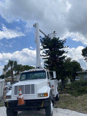 Trimming tree away from PowerLine