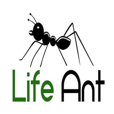 Life Ant Logo