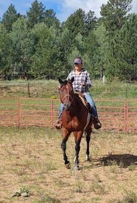 Farm animal care, me on our quarter horse Pepy.