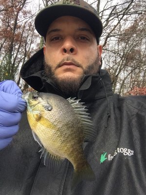 Little blue gill from the smaller ponds. Always fun to catch.