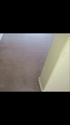 fresh carpet cleaning service