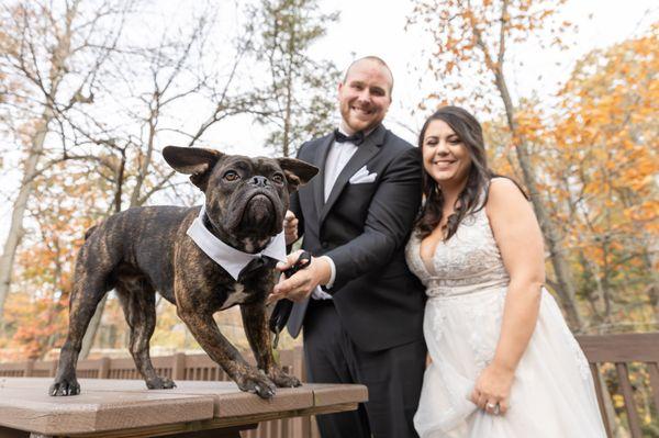 Dog Wedding Photo