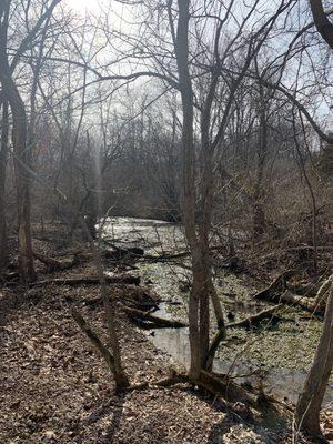 Bloomington Rail Trail