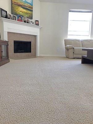 Affordable Carpet Cleaning Service