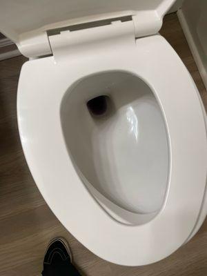 seat broken, lower half of the toilet propped up with a small piece of wood and isn't working at all