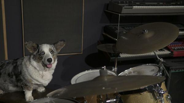 @mouldy.corgi wants you to practice!