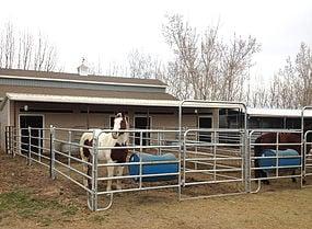 Horse Boarding