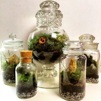 Terrariums of local moss, fern, quartz, etc