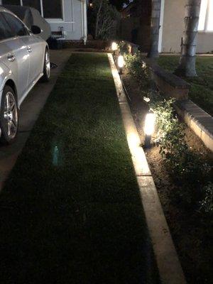 Lighting near the driveway