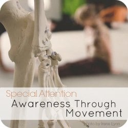 Special Attention: Awareness Through Movement