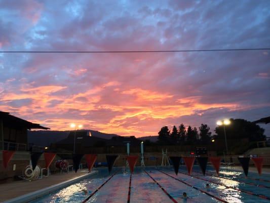 Los Altos & Mountain View Aquatic Club