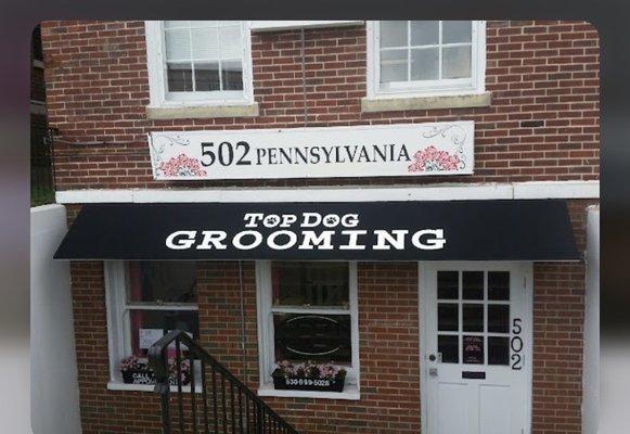 Top dog grooming