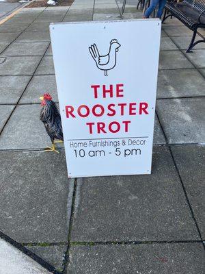 The Rooster Trot