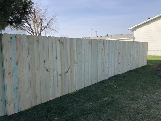 Wood privacy fence