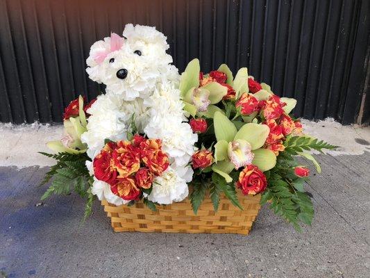 Arrangement "dog in the basket"